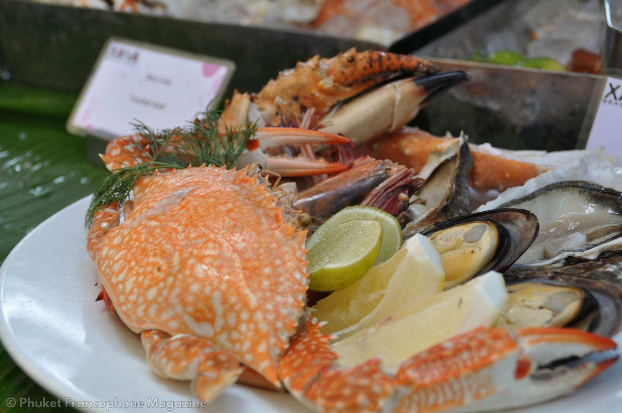 Xana Beach Club Brunch (18)