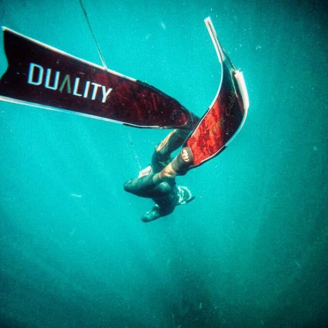 Fins100 Fins100