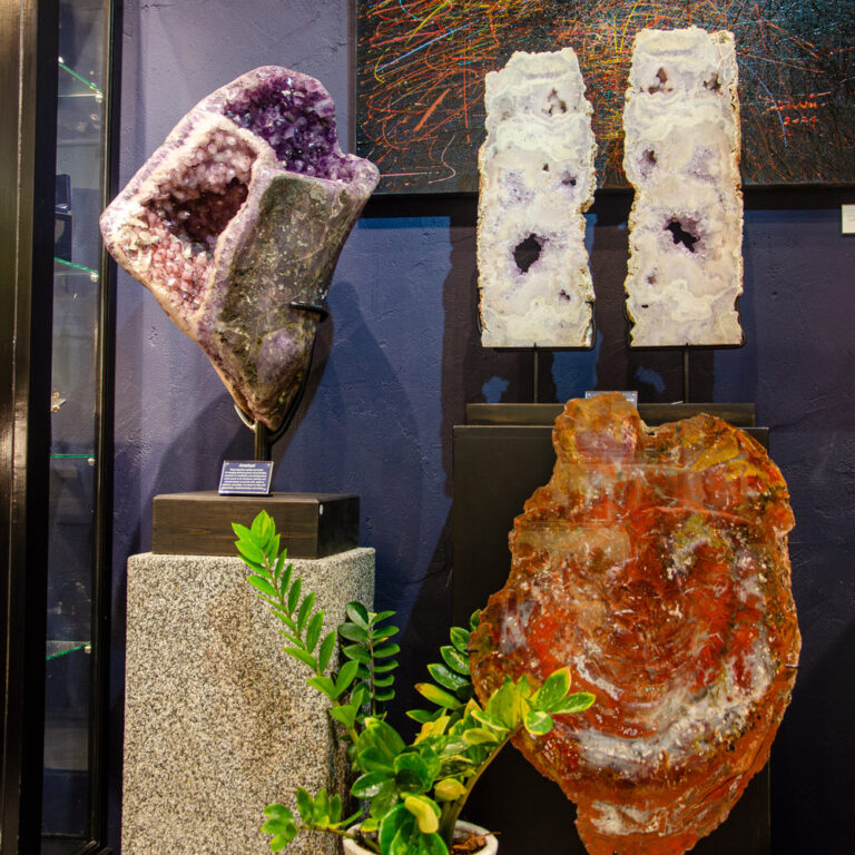 Corner of the Fe2 Crystals gallery with an amethyst geode on a stone pedestal, a red petrified wood slice and a potted plant